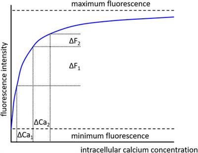 Myography of isolated blood vessels: Considerations for experimental design and combination with supplementary techniques